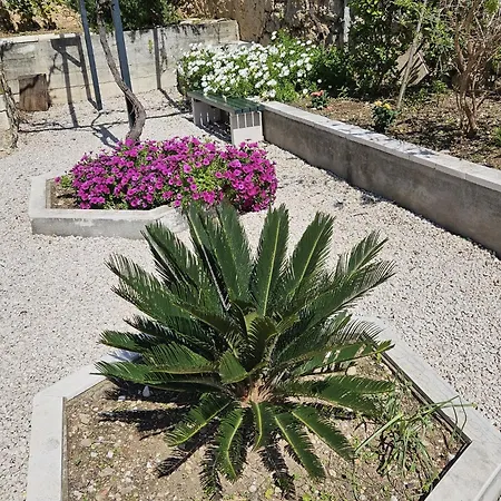 Marija Close To Old Town Lejlighed