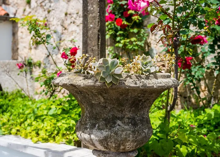 Marija Close To Old Town Daire