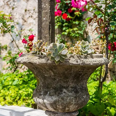 Marija Close To Old Town Lägenhet