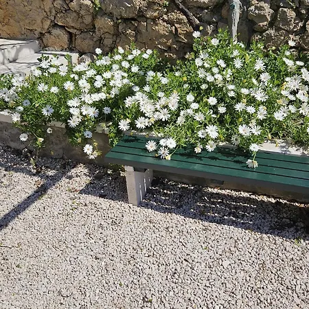 Marija Close To Old Town *